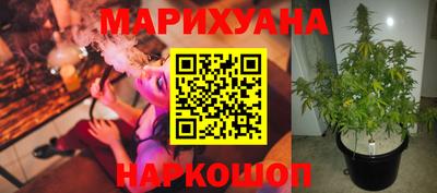 молекула духа Донецк