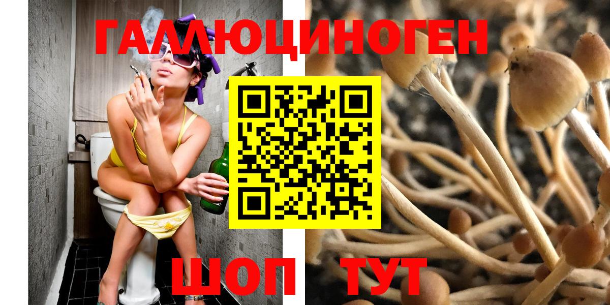 Миллерово  Псилоцибиновые грибы Psilocybine cubensis  Вход с VPN 